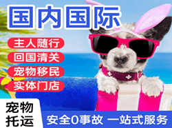 奇台江航空快递国际宠物托运 【国